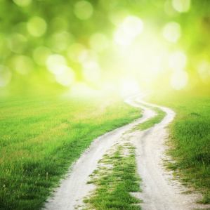 11351316_847656241991411_2090013215891763955_n